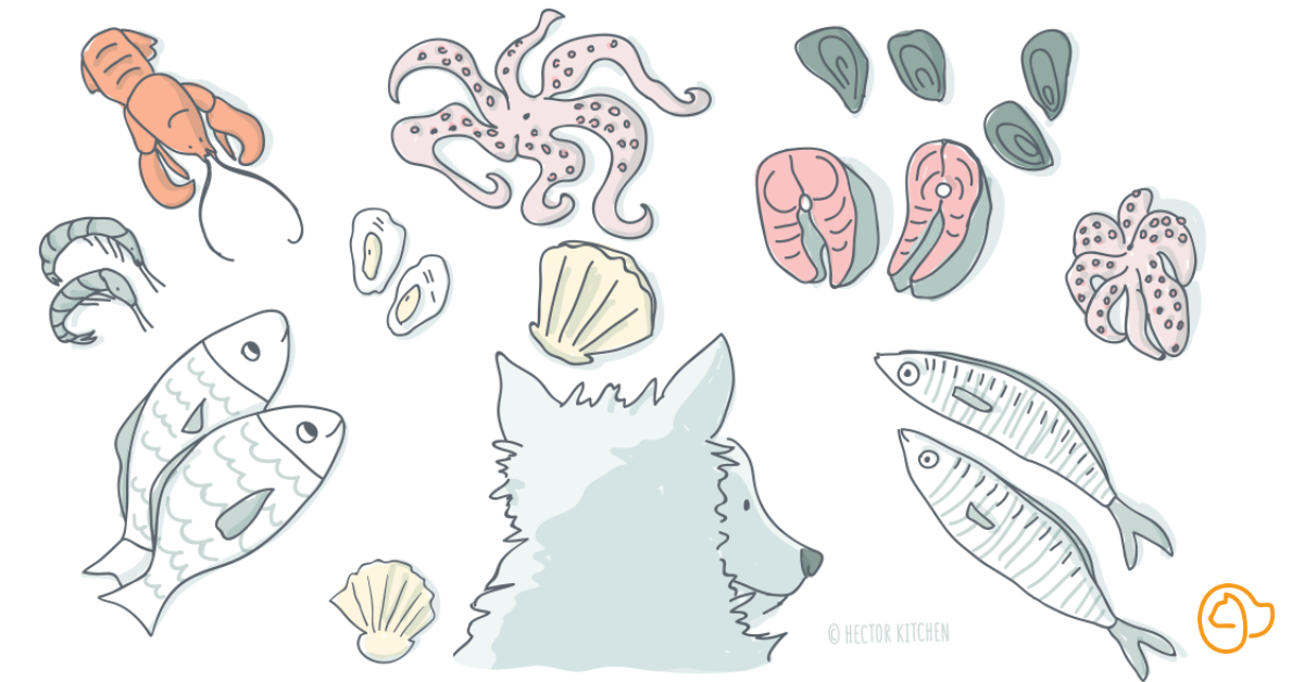 chien mange poisson