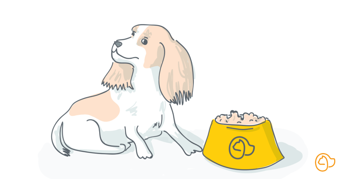 Croquette chien pour race cavalier king charles