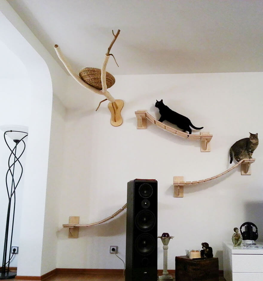 Chat aime la hauteur