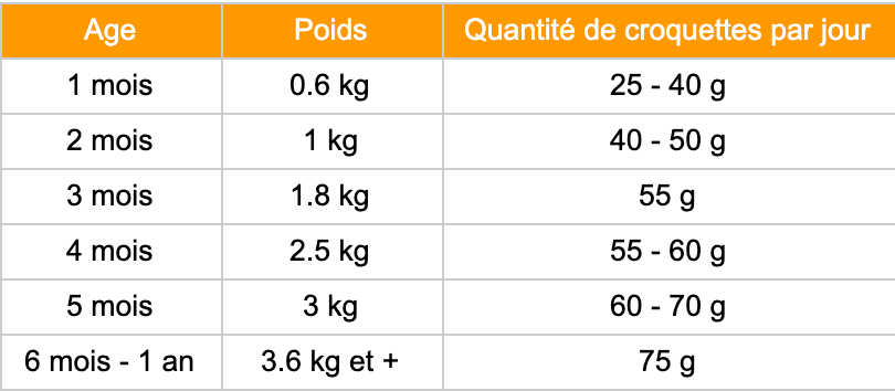 Quantité croquette chaton