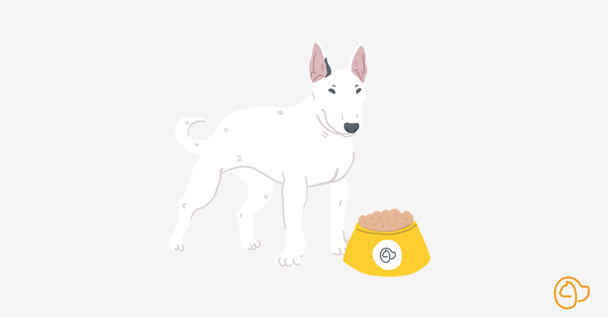 Bull Terrier