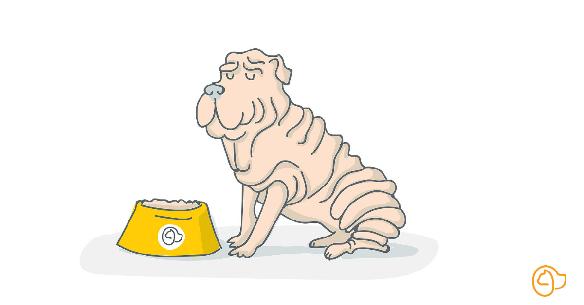 Croquette sharpei