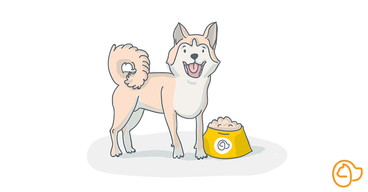 croquettes-shiba-inu