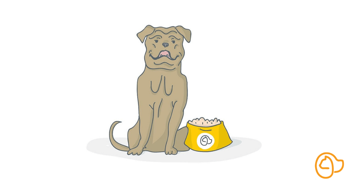croquettes-dogue-de-bordeaux