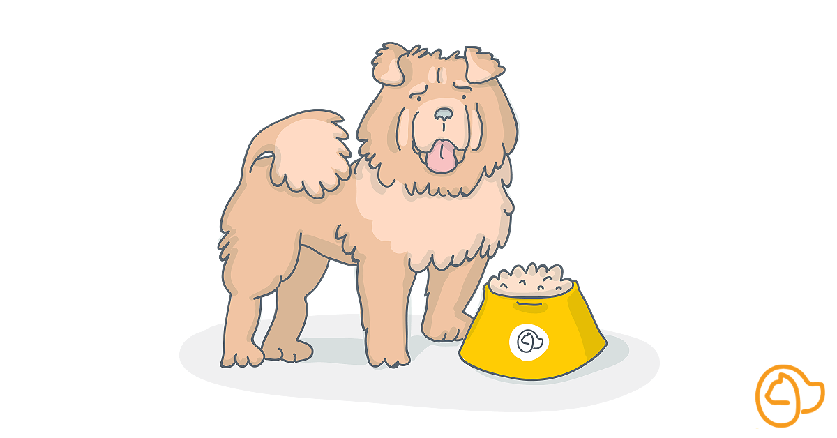 croquettes-chow-chow
