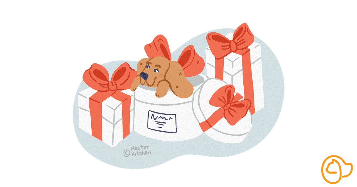 welcoming puppy