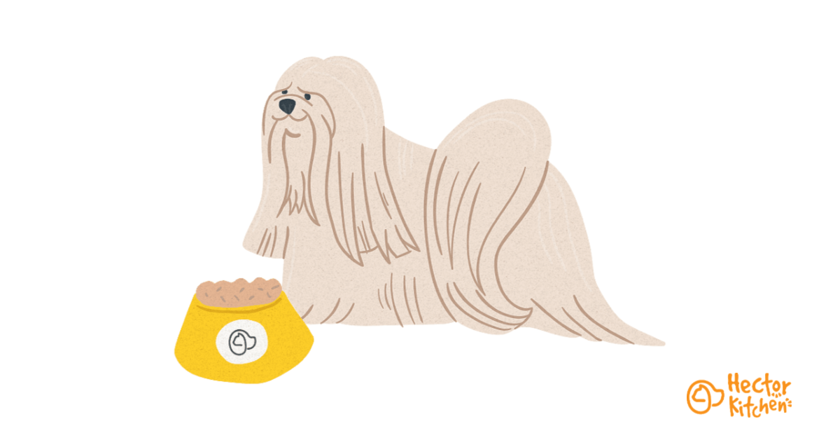 Croquettes Lhassa Apso