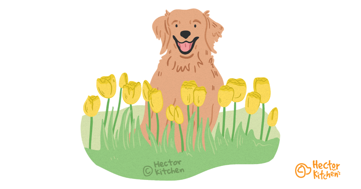Les dangers du printemps pour un chien