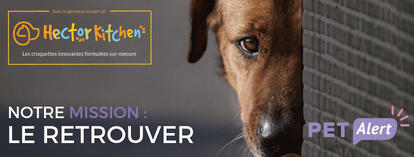 Pet Alert Article