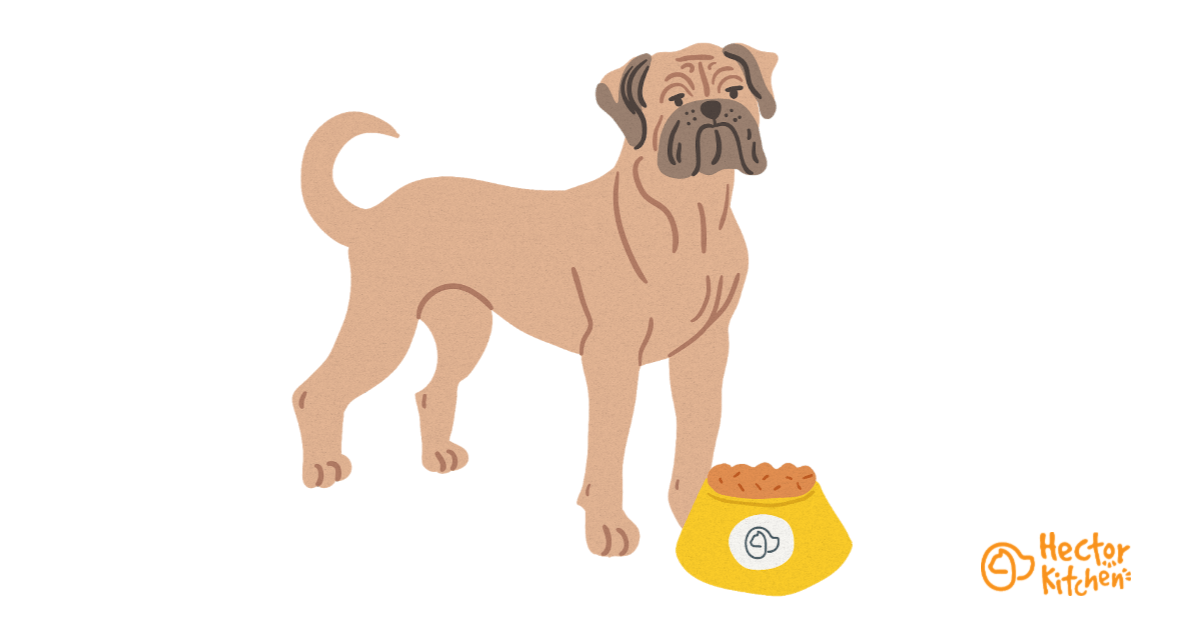 Croquettes pour Bullmastiff