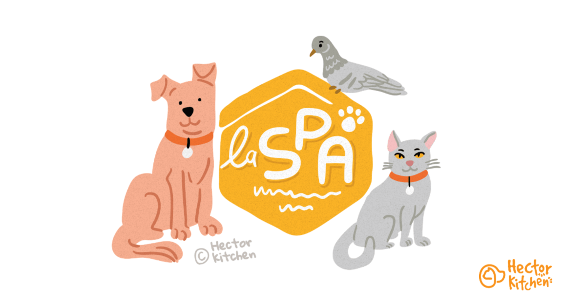 SPA : son histoire et ses missions aujourd'hui