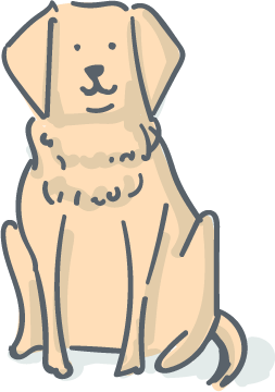 Hund zu dick