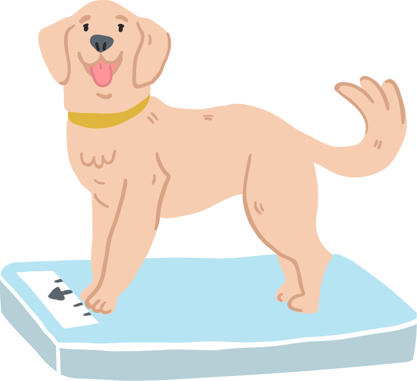 Cibo per cani stop obesità