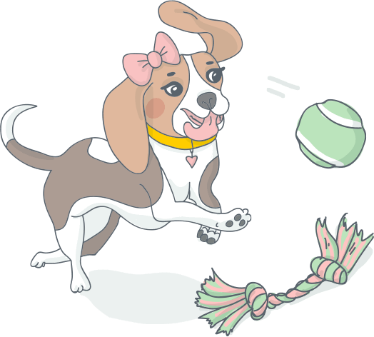 Cibo per cani di qualità snack