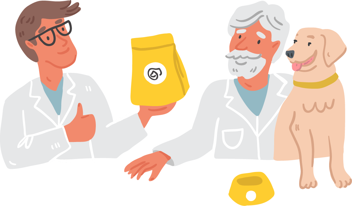 Nuestros veterinarios