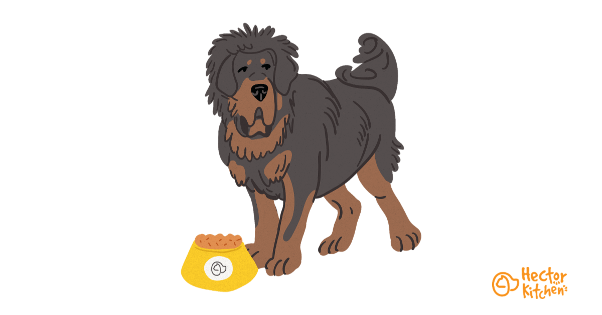 croquettes dog tibet