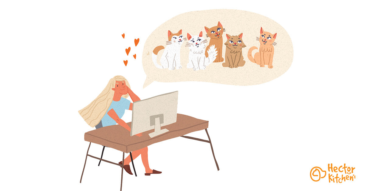 Adopter un chaton