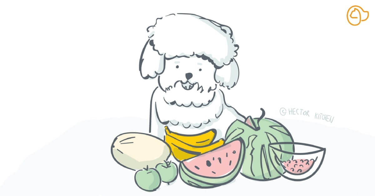 Quel fruit donner à mon chien ?