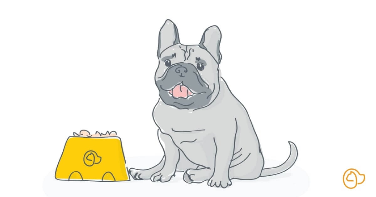 Quelles croquettes pour bouledogue francais