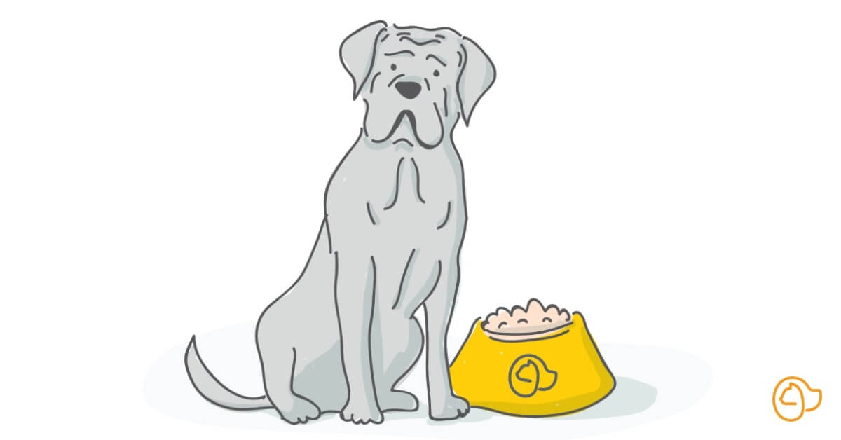 Quelles croquettes pour mon cane corso ?