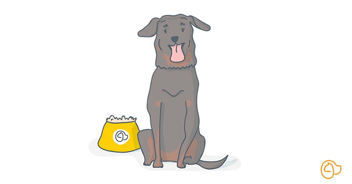 Croquette Beauceron