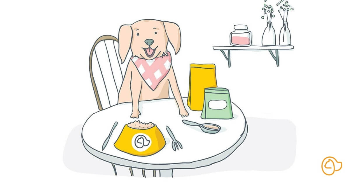 Levure bière pour chien