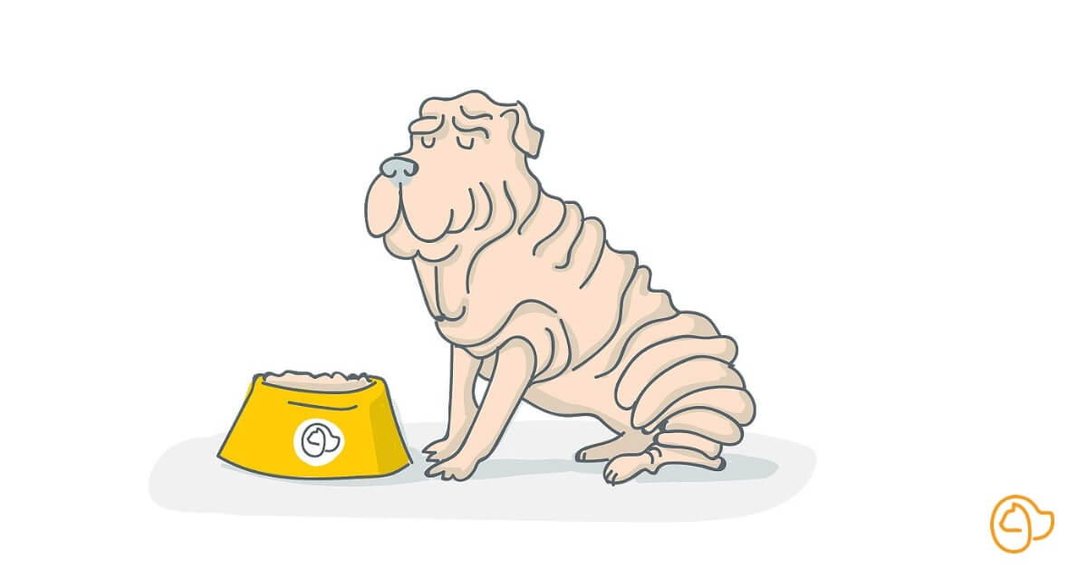 Croquette Sharpei