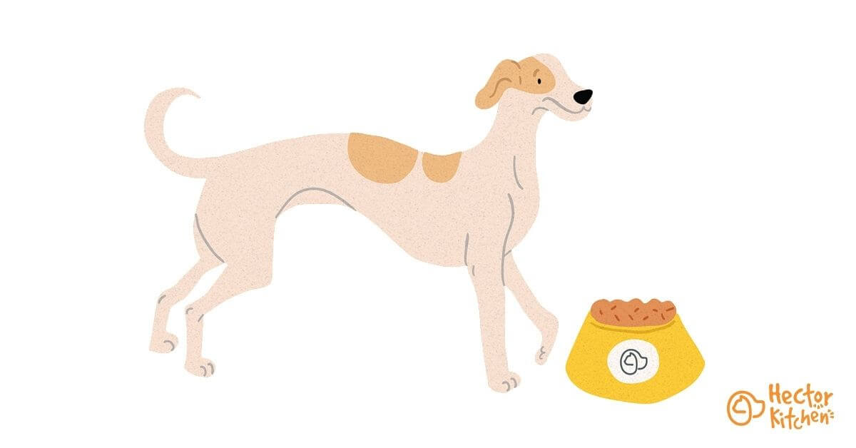 Whippet croquettes