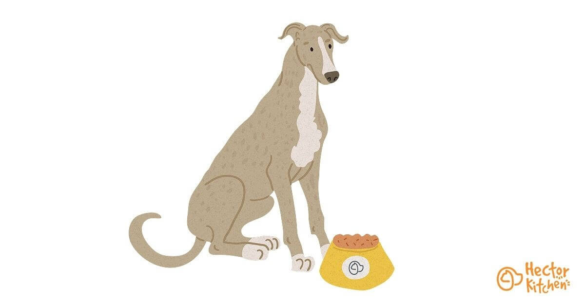 Greyhound croquettes