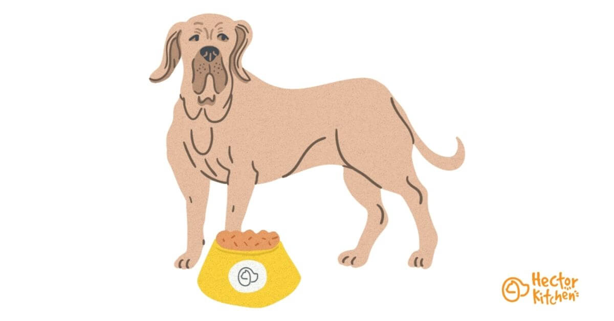 Fila brasileiro croquettes
