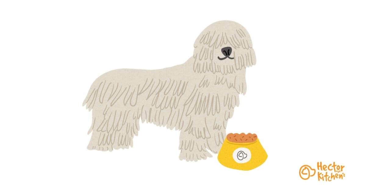 Komondor croquettes