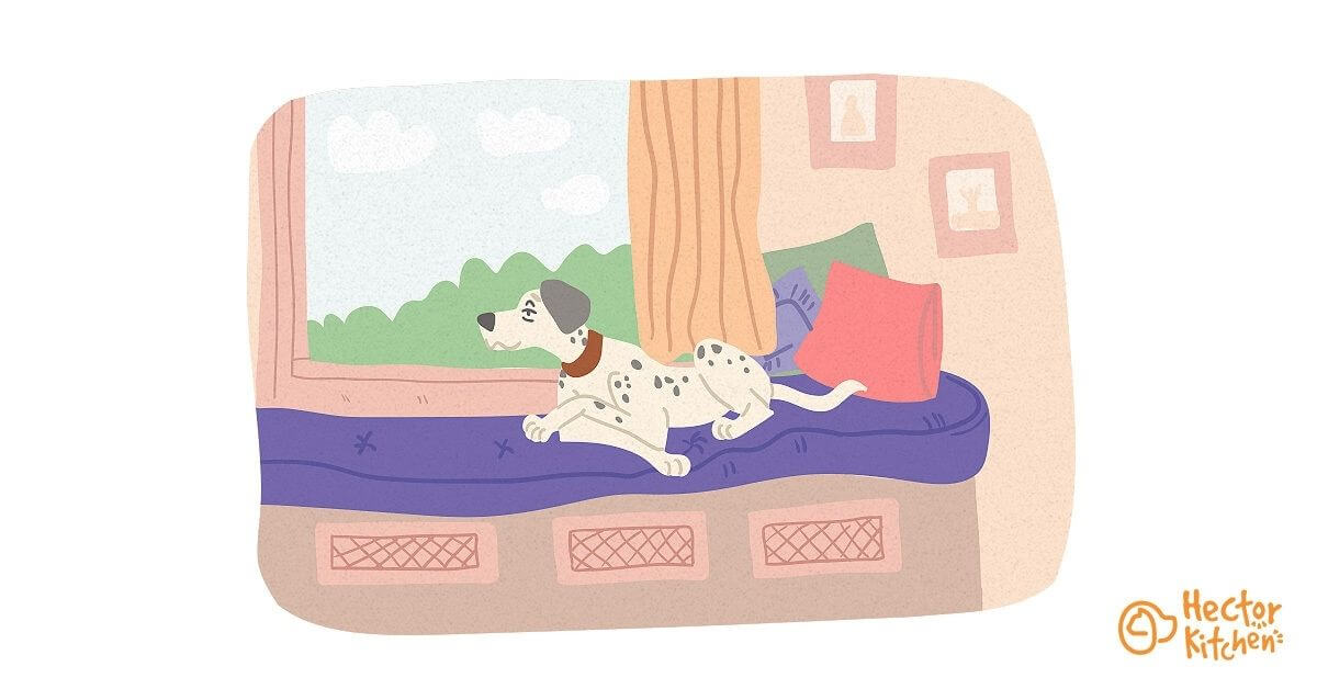 Avoir un chien appartement : une mauvaise idée ?