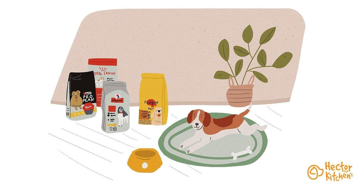 Meilleures croquettes pour chien : comment les choisir ?