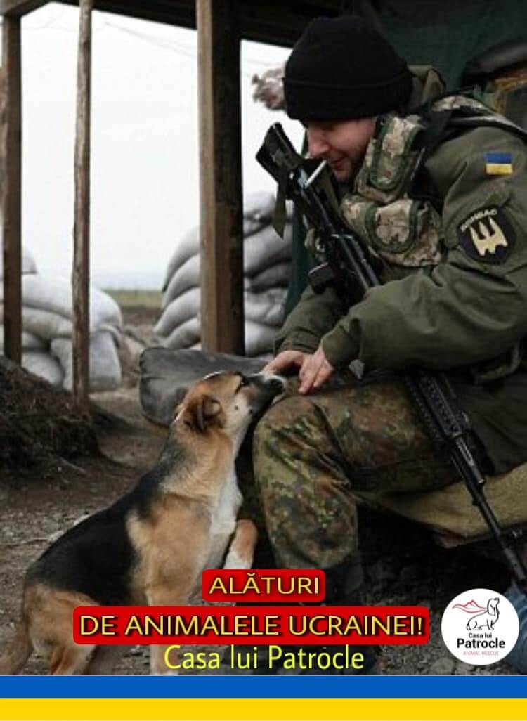 Don de Pet ALert pour les animaux en Ukraine à la frontière avec la Roumanie