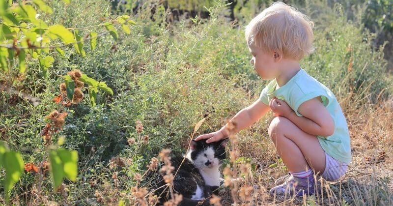 Photo de chat avec un bébé