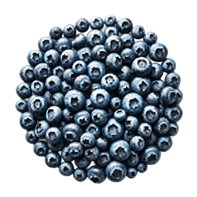 Ingredient - Pudrǎ de Afine Deshidratate