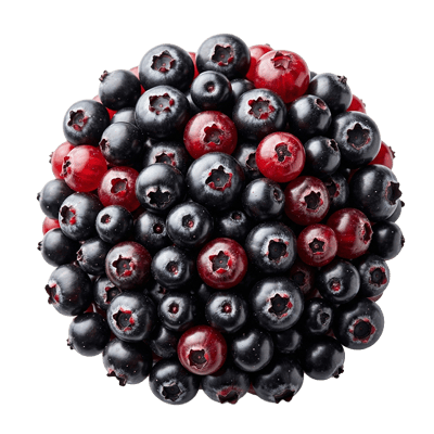 Ingredient - Pudrǎ de Aronia Deshidratatǎ