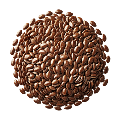 Ingredient - Seminte de In