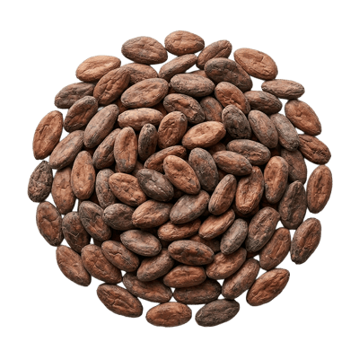 Ingredient - Boabe Cacao Criollo