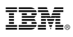 ibm logo