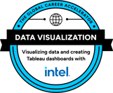Excel Specialist Badge