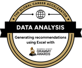 Excel Specialist Badge