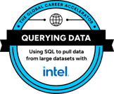 SQL Specialist Badge