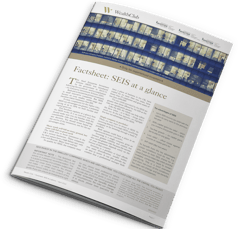 [Front cover] Factsheet: SEIS at a glance