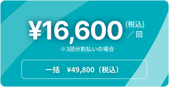 3回分割払いで16,600円(税込)。一括払いで49,800円。