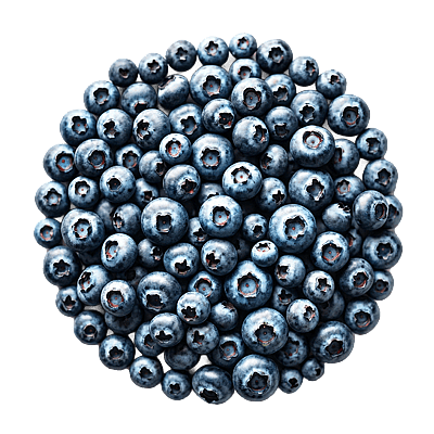 Ingredient - Pudrǎ de Afine Deshidratate