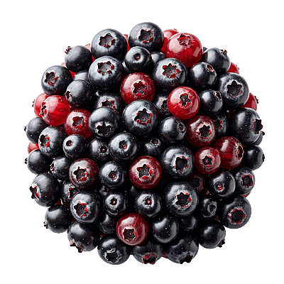 Ingredient - Pudrǎ de Aronia Deshidratatǎ