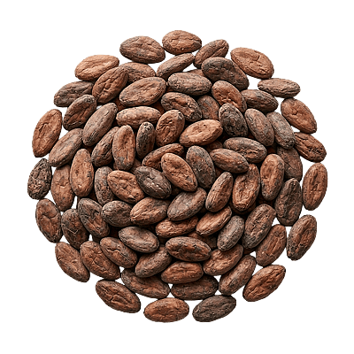 Ingredient - Boabe Cacao Criollo