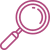 Magnifying Glass Icon