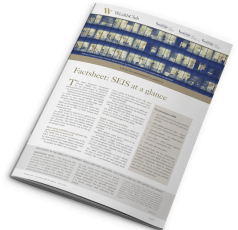 [Front cover] Factsheet: SEIS at a glance